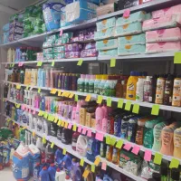 شوینده و بهداشتی الناز|مواد شوینده و دستمال کاغذی|شهرکرد, |دیوار