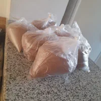 فروش خاکشیر تمیز عمده وخرده فروشی