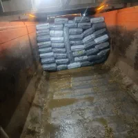 ذرت علوفه‌ای پردان