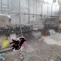 اجاره و خرید فروش بالابر بتونیر جک لوله قالب|مصالح و تجهیزات ساختمان|کلاله, |دیوار