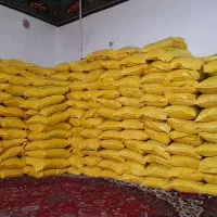 برنج عنبربو درجه یک