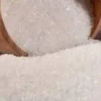 فروش شکر