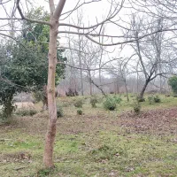 زمین-مسکونی-در-روستای-صیقل-کومه-نهزم