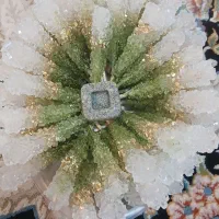 نبات