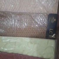 پادری تدی50×80