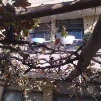 ویلایی-2طبقه-قابل-سکونت-خ-ملک-قابل-معاوضه