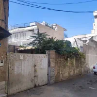 فروش-گلنگی