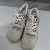 کفش نو|کیف، کفش، کمربند|تربت جام, میان جام|دیوار