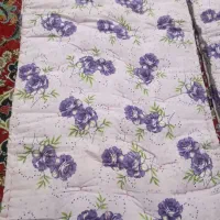 حراج تشک نو نو