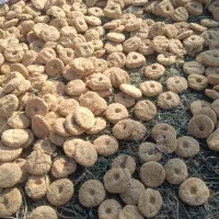 ترخینه|خوردنی و آشامیدنی|هرسین, |دیوار