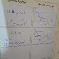 سگ پشمالو|سگ|خرمآباد, |دیوار