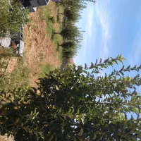 فروش باغچه|فروش زمین و ملک کلنگی|همایجان, |دیوار