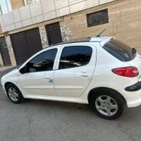 ۲۰۶پاناروما، تیپ۳