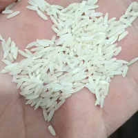 برنج هاشمی خمام دوالک