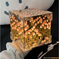 چراغ دشت گل لاله بی نهایت