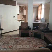 اجاره-سوئیت-روزانه