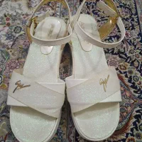 کفش مجلسی