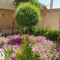 فروش ویلایی ۲۲۰متری بازسازی شده شیک دو کله