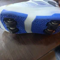 کفش4چرخ