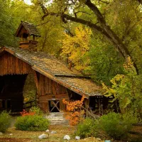 راهنمایی کنید