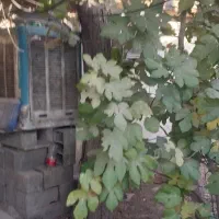 کارگاه جهت نجاری کفاشی . مبل و غیره