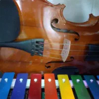 آموزش ویلن بلز کالیمبا سنتور مخصوص بانوان و کودکان