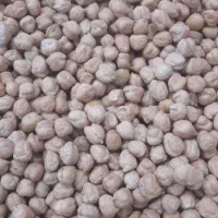 نخود درجه یک