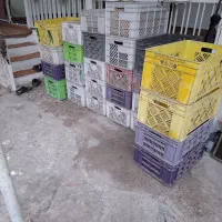 سبد|ابزارآلات|لشت نشا, |دیوار