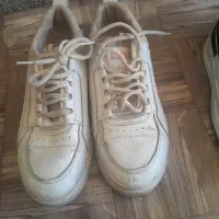 کفش|کیف، کفش، کمربند|سنندج, |دیوار