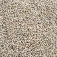 انجیر سالم وارگانیک تویسرکان|خوردنی و آشامیدنی|قم, شهرک امام حسن|دیوار