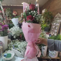 پخش و فروش انواع گلهای شاخه بریده ودسته گل وباکس|گل و گیاه طبیعی|رشت, گلسار|دیوار