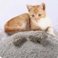 خاک گربه درجه‌یک