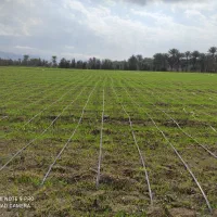 زمین کشاورزی