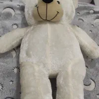 خرس شاسخین بزرگ