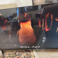 تلویزیون نکسار هوشمند