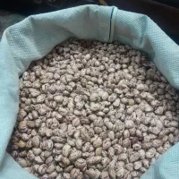 لوبیا چیتی کالپوش