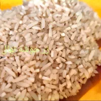 برنج طارم هاشمی اعلا از شالیزارهای شمال