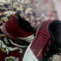 کفش فوتسال لونار گتو|کیف، کفش، کمربند|سبزوار, زینبیه|دیوار