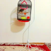 قفس و لوازم جانبی