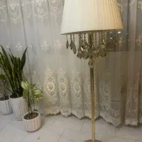 اباژور ایستاده کاملا سالم