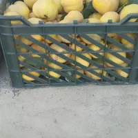 میوه به|خوردنی و آشامیدنی|بهار, |دیوار