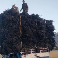 جمع آوری ضایعات نوارتیپ به صورت هکتاری|خدمات باغبانی و درختکاری|مرودشت, رامجرد یک|دیوار