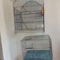 چهار تا قفس