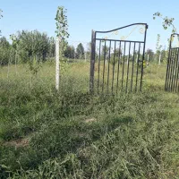 ۷۵۰ متر زمین جای بکر|فروش زمین و ملک کلنگی|رشت, حومه رشت|دیوار