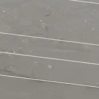 بچه ماهی کپور،،امور|ماهی|سنگر, |دیوار