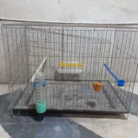 قفس پرنده