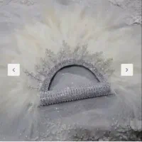 محمدی|گل و گیاه طبیعی|زهک, |دیوار