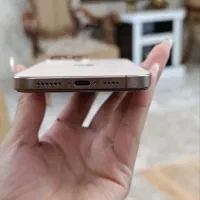 ۱۶پرومکس
