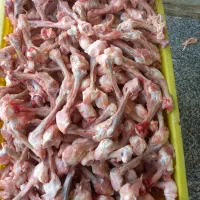 اسکلت مرغ   غذای سگ|لوازم جانبی حیوانات|کرج, ملک‌آباد|دیوار
