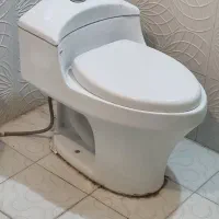 فرنگی دست دوم